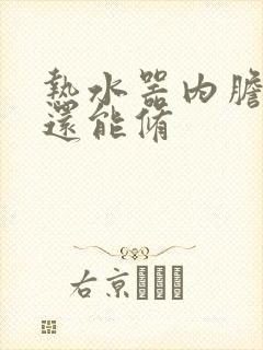 热水器内胆漏水还能修