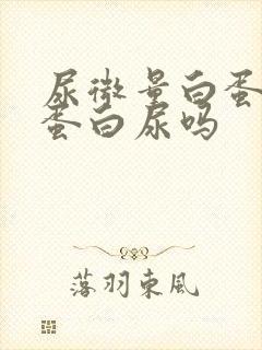 尿微量白蛋白是蛋白尿吗