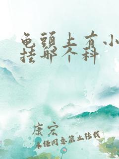 龟头上有小红斑挂哪个科