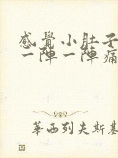 感觉小肚子子宫一阵一阵痛