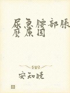 尿急腰部胀痛什么原因