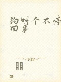 狗叫个不停怎么回事