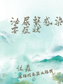 泌尿系感染的主要症状