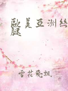 欧美亚洲丝袜美腿