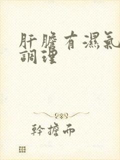 肝胆有湿气怎么调理