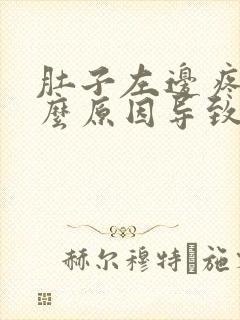 肚子左边疼是什么原因导致的