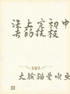 没上完初中可以去的技校