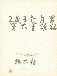 2岁3个月男宝宝不会说话怎么办