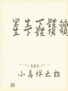 男生下体插入女生下体视频软件