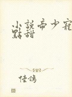 小说帝少宠妻有点甜