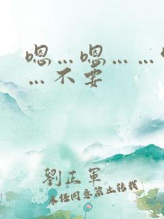 嗯…嗯……啊……不要