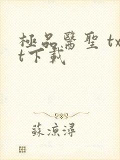 极品医圣 txt下载