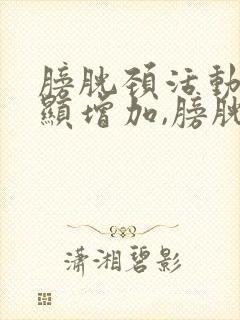 膀胱颈活动度明显增加,膀胱后壁膨出