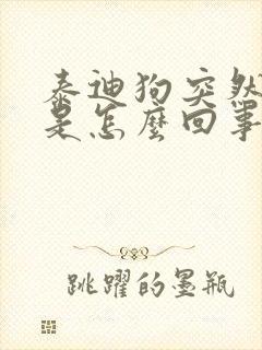 泰迪狗突然呕吐是怎么回事