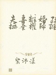 夫妻离婚 孩子抚养权归谁