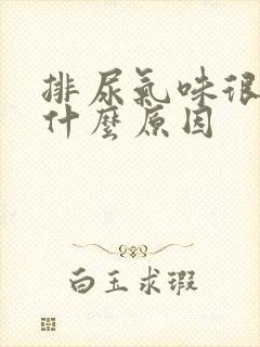 排尿气味很大是什么原因