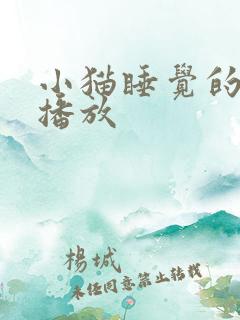 小猫睡觉的声音播放