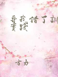 哥我错了训诫文实践