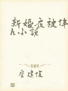 新婚夜被伴郎强h小说