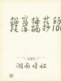 描写梅花的优美段落摘抄100字