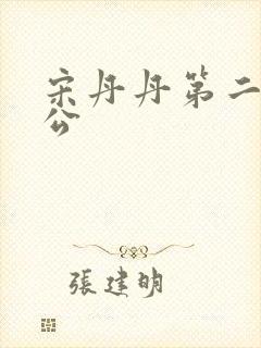 宋丹丹第二任老公