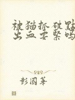 被猫抓破点皮没出血要紧吗