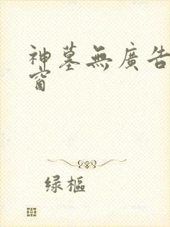 神墓无广告无弹窗