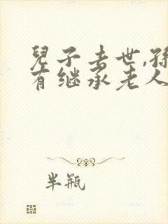 儿子去世,孙子有继承老人财产权利吗