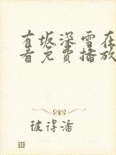 有坂深雪在线观看免费播放