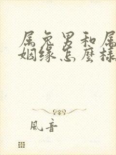 属兔男和属蛇女姻缘怎么样