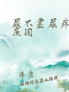 尿不尽尿疼什么原因