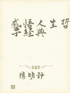 感悟人生哲理句子经典