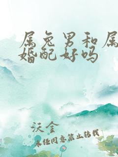 属兔男和属牛女婚配好吗