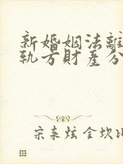 新婚姻法离婚出轨方财产分割