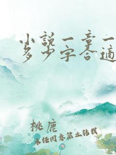 小说一章一般写多少字合适