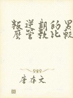 叛逆期的男孩怎么管教比较好