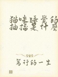 猫咪睡觉的时候抽搐是什么原因