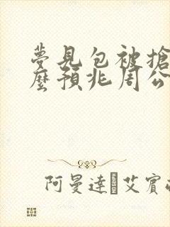 梦见包被抢了什么预兆周公解梦