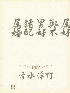 属猪男与属狗女婚配好不好