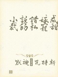 小说错嫁成婚总裁的私宠甜妻