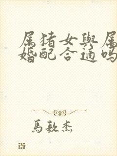 属猪女与属龙男婚配合适吗