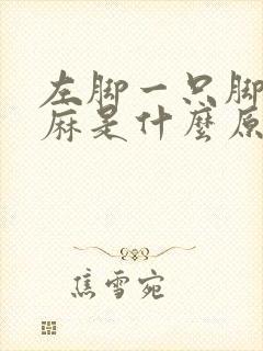 左脚一只脚都发麻是什么原因