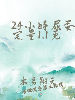 24小时尿蛋白定量1.1克