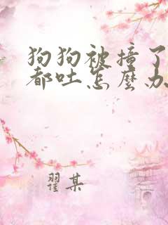 狗狗被撞了喝水都吐怎么办