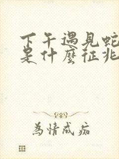 下午遇见蛇过路是什么征兆