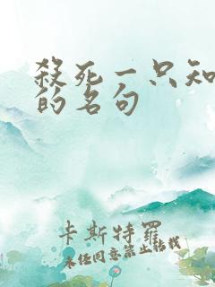 杀死一只知更鸟的名句