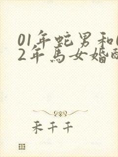 01年蛇男和02年马女婚配好吗