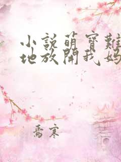 小说萌宝难宠爹地放开我妈咪