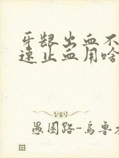 牙龈出血不停快速止血用啥药