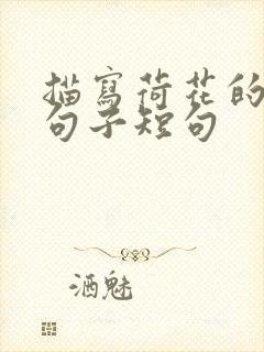 描写荷花的优美句子短句